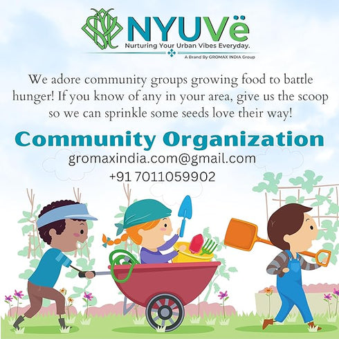 Gromax India Mint Seeds