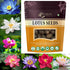Brijbooti Kamal Seeds 40-50 Seeds | Lotus Flower Seeds