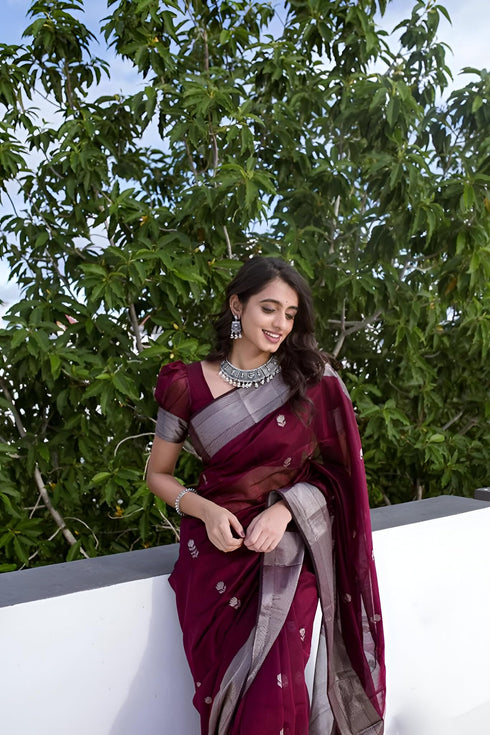 Vasthrlay Banarasi Traditional Saree