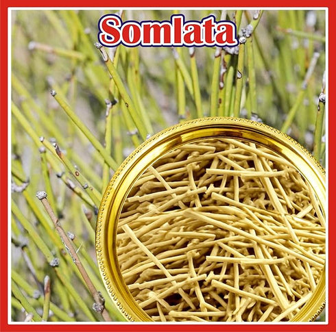 Jioo Organics Somlata Soma Ephedra Gerardiana 100gm