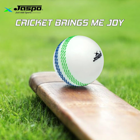 Jaspo Slog Tennis Cricket Balls
