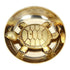 Brass Tortoise for Good Luck 20g