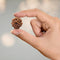 Crystal Heaven 5 Mukhi Rudraksha