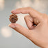 Crystal Heaven 5 Mukhi Rudraksha