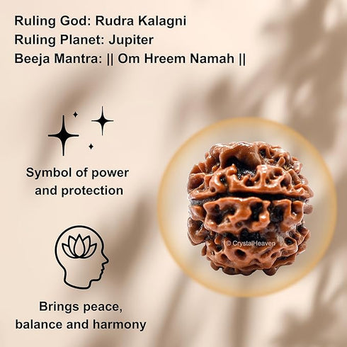 Crystal Heaven 5 Mukhi Rudraksha
