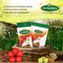 Herbodaya Organic Shikakai Hair Wash Powder