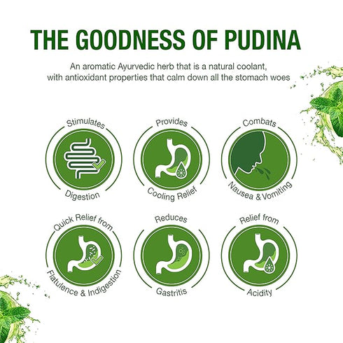 Dabur Pudin Hara Active