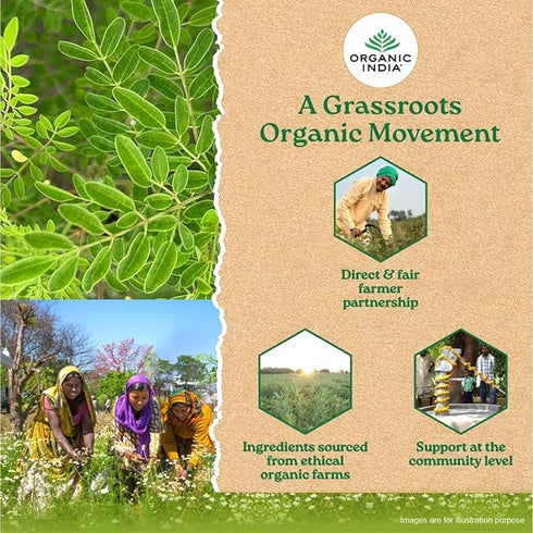 Organic India Moringa Powder