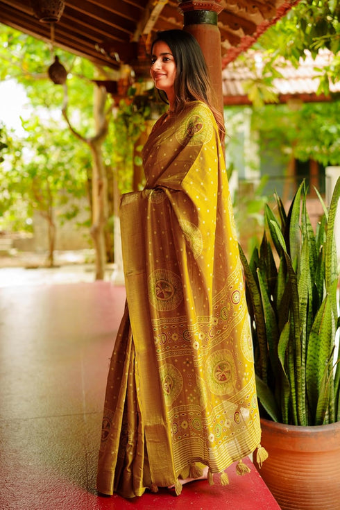 Vasthrlay Fashion Cotton Printed Ethnic Wear