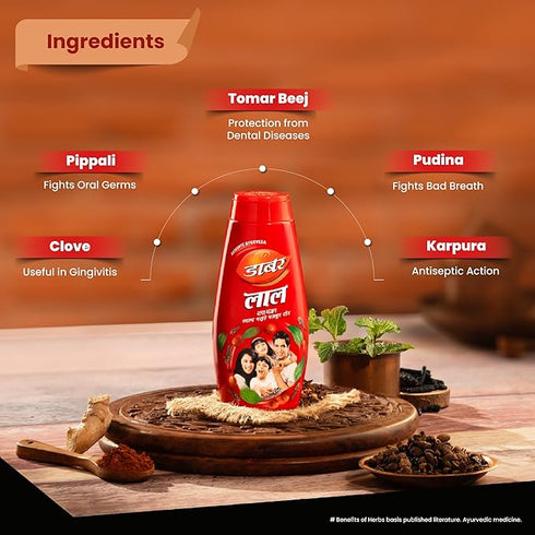 Dabur Lal Dant Manjan Tooth Powder