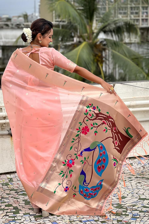 Vasthrlay Organza Kanjivaram Handloom Ethnic Wear