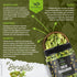 GreenFinity Whole Green Cardamom (Elaichi)