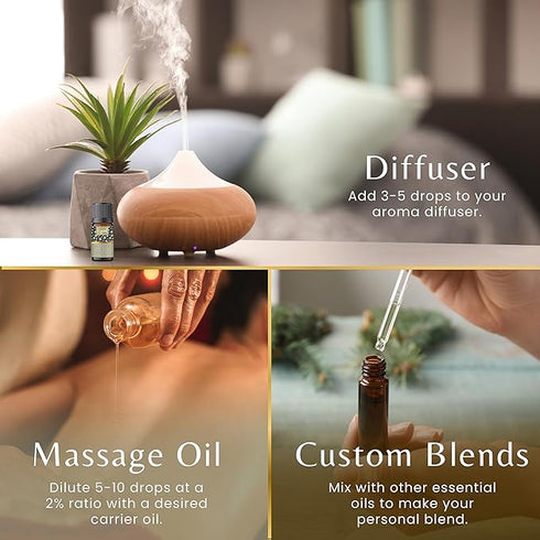 Ryaal Cinnamon Essential Oil for Hair Care & Skin Nourishment