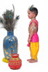 Raj Fancy Dresses Krishna Dress for Kids, Baby Krishna Dress for Janmashtami with Krishna Mukut