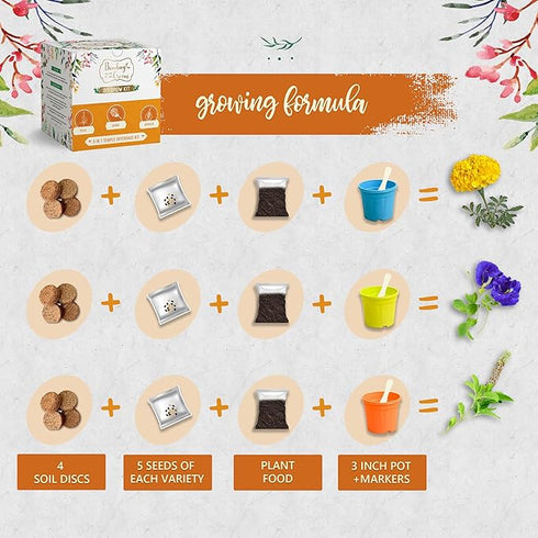 Bombay Greens Sow Grow Eat Repeat Kit