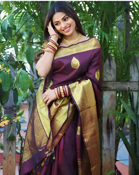 Vasthrlay Kanjivaram Traditional Unstitched Saree