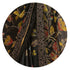 Vasthrlay Fashion Georgette Leheriya Dark Ethnic Wear