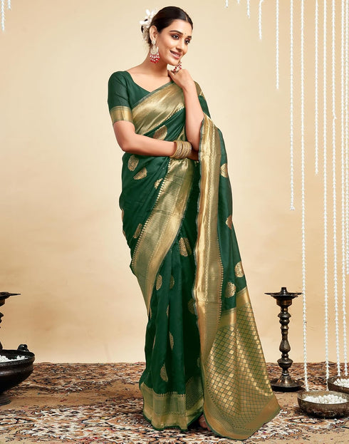 Vasthrlay Womens Banarasi Jacquard Sky Blue Saree