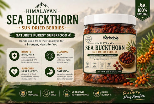 Herbable Sea Buckthorn Berries 100g