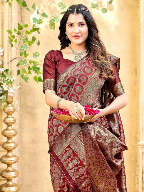Vasthrlay Banarasi Weaving Pista Saree