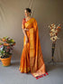 Vasthrlay Leriya Patola Banarasi Ethnic Wear