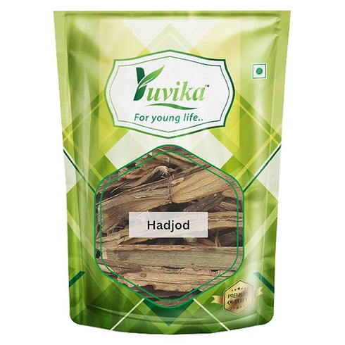 Yuvika Hadjod - Hadjora - Gangdi