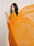 Vasthrlay Chiffon Saree