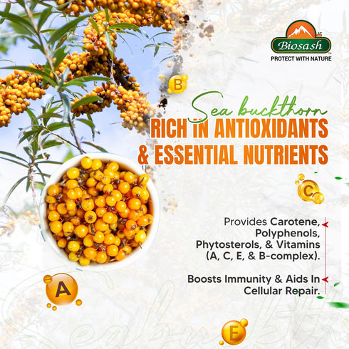 Biosash Sea Buckthorn Immunosash Juice