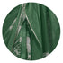 Vasthrlay Fashion Chiffon Shibori Printed Ethnic Wear