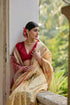 Vasthrlay Pochampally Saree Triangle