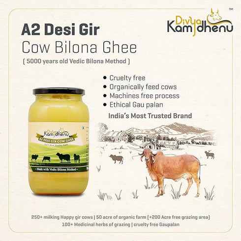 Divya Kamdhenu A2 Pure Desi Gir Cow Ghee
