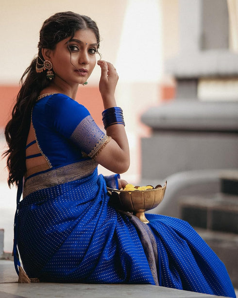 Vasthrlay Wedding Saree