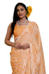 Vasthrlay Fashion Chiffon Printed Ethnic Wear