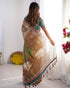 Vasthrlay Handloom Grey Green Traditional Saree