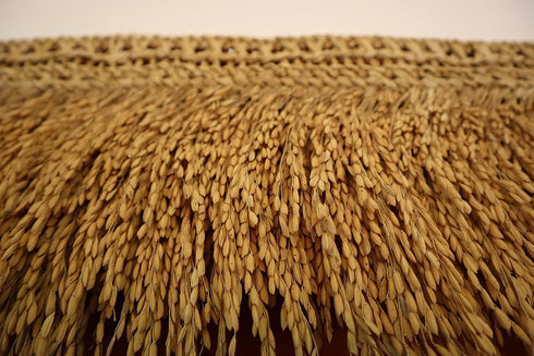 Natural paddy toran,3.5 feet paddy door toran Toran (Natural Paddy)
