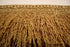 Natural paddy toran,3.5 feet paddy door toran Toran (Natural Paddy)
