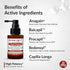 Derma Global High Potency® Hair Growth Serum