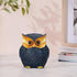 Modern Classy Happy Owl Resin Art Figure Showpiece