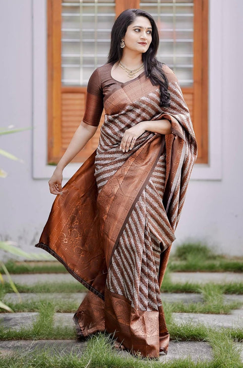 Vsathrlay Kanchipuram Saree
