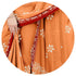 Vasthrlay Fashion Chiffon Printed Parrot Ethnic Wear