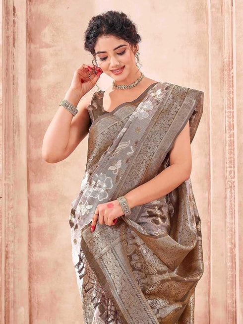 Vasthrlay Chanderi Banarasi Light Saree