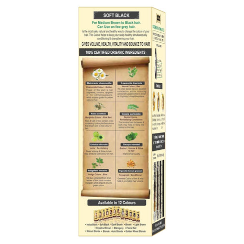 Indus Valley 100% Organic & Chemical Free Botanical One Touch Pack Hair Colour For Soft Black Hairs