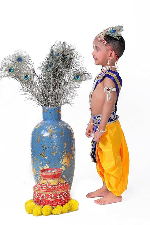 Raj Fancy Dresses Krishna Dress for Kids, Baby Krishna Dress for Janmashtami with Krishna Mukut