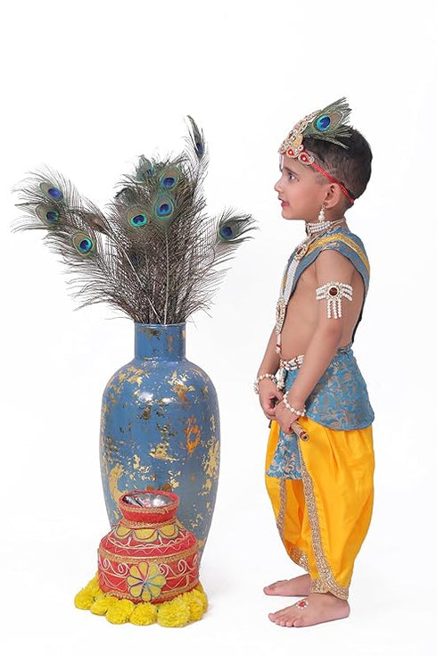 Raj Fancy Dresses Krishna Dress for Kids, Baby Krishna Dress for Janmashtami with Krishna Mukut