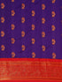 Vasthrlay Pheshwai Bottle Saree