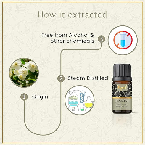 Ryaal Cinnamon Essential Oil for Hair Care & Skin Nourishment