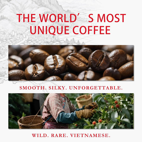 VUNJO Wild Kopi Luwak Civet Whole Bean Coffee 100g