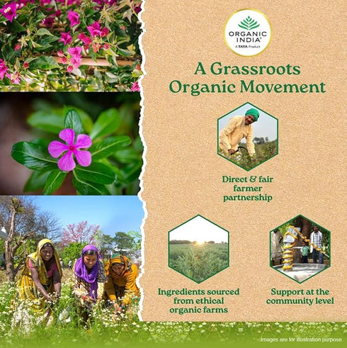 Organic India Sugar Balance Veg Capsules