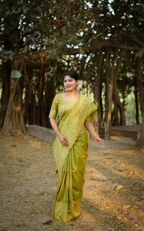 Vasthrlay Tussar Kalamkari Geometric Floral Design