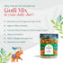 Sangita Mukhwas Gutli Mix Seeds Mouth Freshener Mukhwas